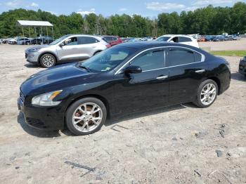  Salvage Nissan Maxima