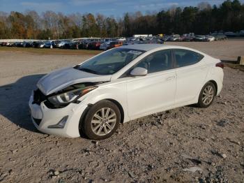  Salvage Hyundai ELANTRA