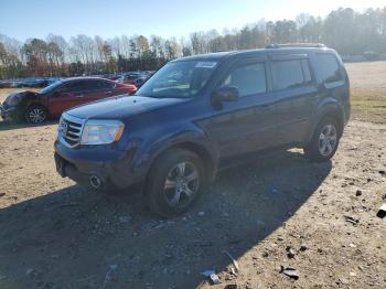  Salvage Honda Pilot