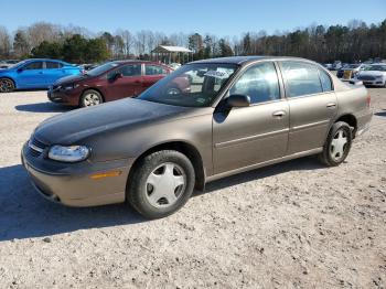  Salvage Chevrolet Malibu