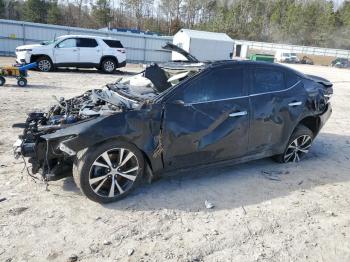  Salvage Nissan Maxima