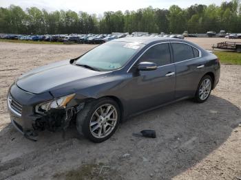  Salvage Nissan Maxima