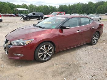  Salvage Nissan Maxima