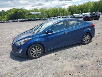  Salvage Hyundai ELANTRA