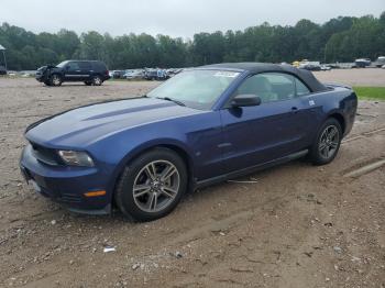  Salvage Ford Mustang