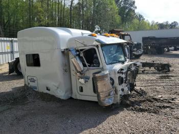  Salvage Peterbilt 389