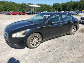  Salvage Nissan Maxima