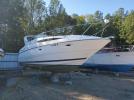 Bayliner Boat Image 1
