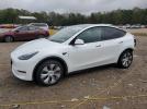 Tesla Model Y Image 1