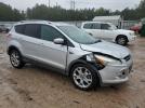 Ford Escape Titanium Image 5