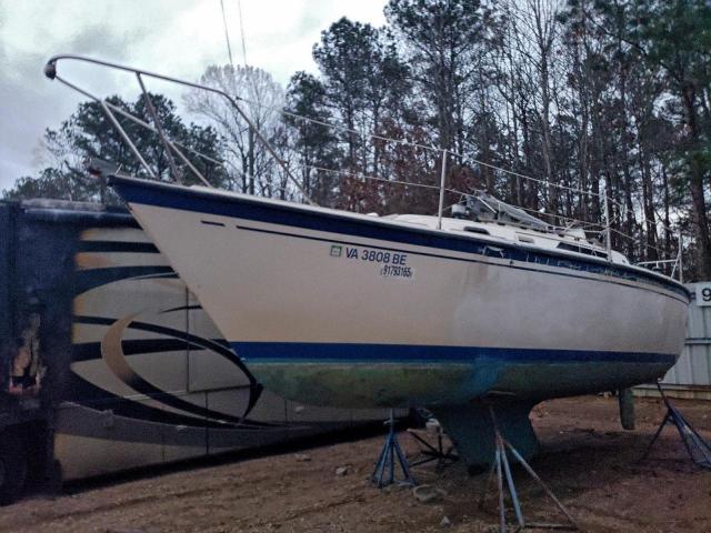 Oday Boat Only Image 4