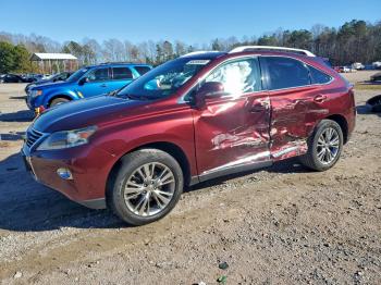  Salvage Lexus RX