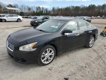  Salvage Nissan Maxima