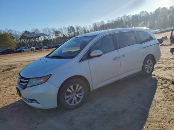  Salvage Honda Odyssey