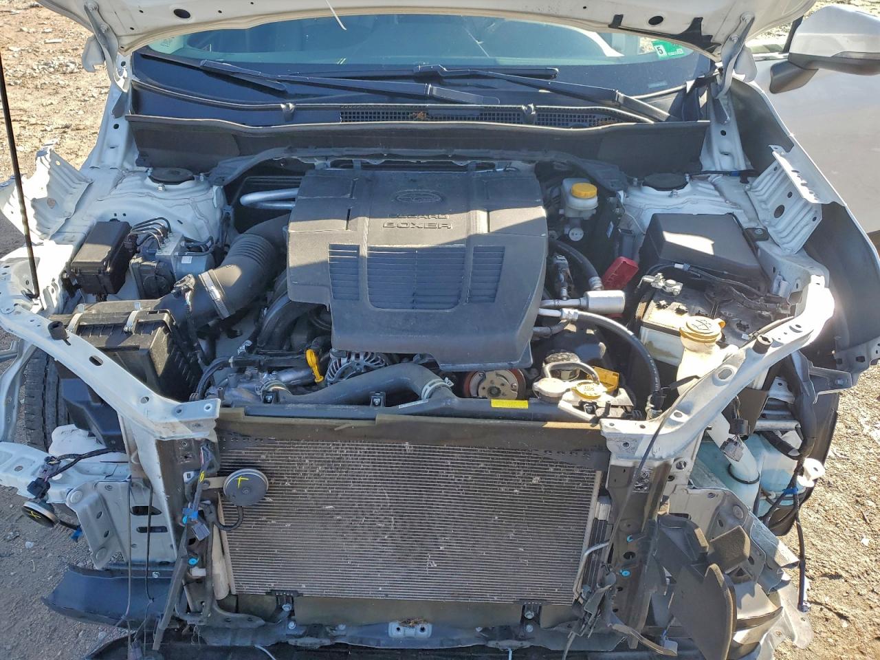 Subaru Forester Limited Image 9