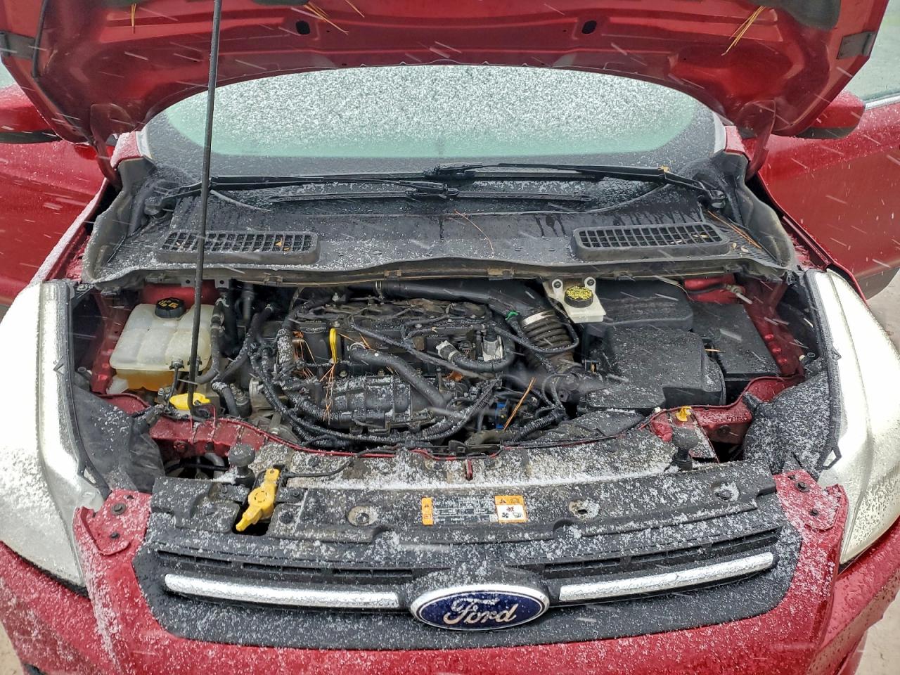 Ford Escape Se Image 13