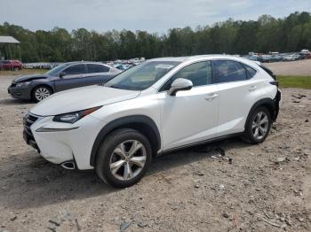  Salvage Lexus NX